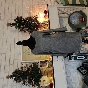 Womans Metallic Dress